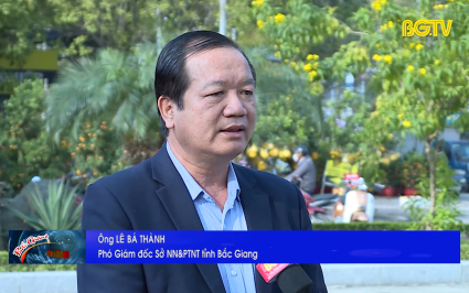 Tăng tối đa diện t&iacute;ch vải ra hoa đảm bảo năng suất, chất lượng