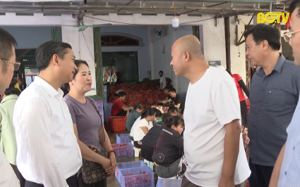 Tạo điều kiện thuận lợi cho thương nh&acirc;n Trung Quốc thu mua vải thiều