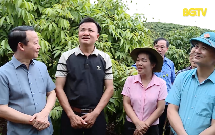 Tạo luồng xanh ti&ecirc;u thụ vải thiều