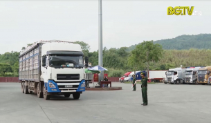 Tạo thuận lợi xuất khẩu vải thiều qua cửa khẩu