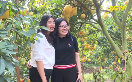 Tạp ch&iacute; Du lịch: Du lịch m&ugrave;a cam bưởi