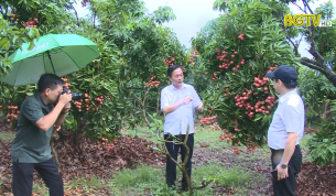 Tạp ch&iacute; Du lịch: Du lịch m&ugrave;a quả ngọt