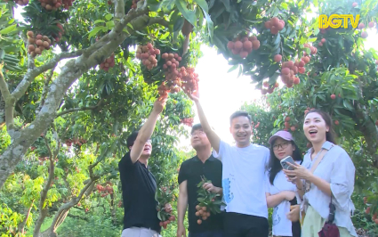 Tạp ch&iacute; du lịch: Du lịch m&ugrave;a vải ch&iacute;n