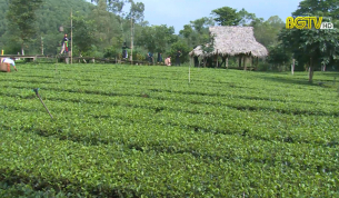 Tạp ch&iacute; Du lịch: Du lịch xanh