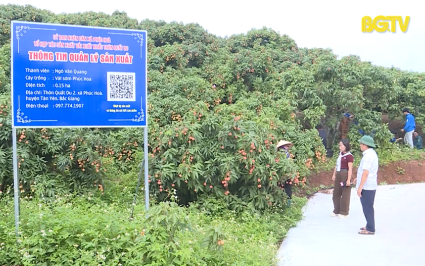 Tạp ch&iacute; NNNT: Thu hoạch vải thiều sớm