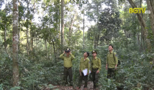 Tạp ch&iacute; NNNT: 75 năm kiểm l&acirc;m Bắc Giang