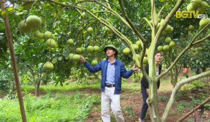 Tạp ch&iacute; NNNT: Bắc Giang m&ugrave;a quả ngọt