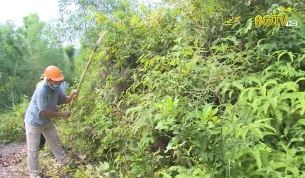 Tạp ch&iacute; NNNT: C&ocirc;ng t&aacute;c ph&ograve;ng chống ch&aacute;y rừng