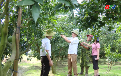 Tạp ch&iacute; NNNT: Đa dạng cơ cấu c&acirc;y ăn quả - N&acirc;ng gi&aacute; trị sản xuất