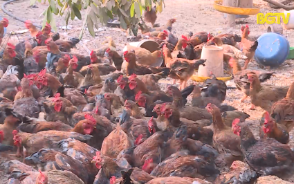 Tạp ch&iacute; NNNT: Đảm bảo nguồn cung thực phẩm dịp Tết