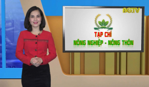 Tạp ch&iacute; NNNT: Đẩy mạnh c&ocirc;ng t&aacute;c trồng rừng