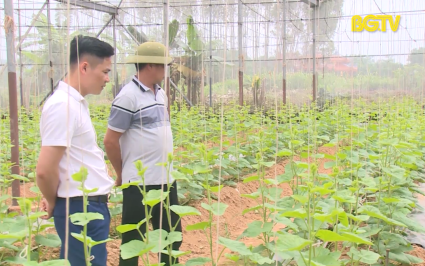 Tạp ch&iacute; NNNT: Đẩy mạnh sản xuất n&ocirc;ng nghiệp hữu cơ