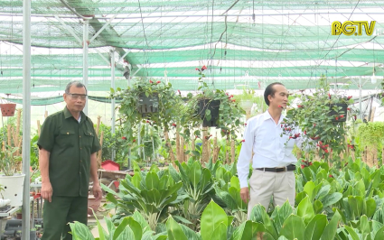 Tạp ch&iacute; NNNT: L&agrave;m kinh tế từ trồng c&acirc;y cảnh