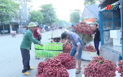 Tạp ch&iacute; NNNT: Nh&igrave;n lại những kh&oacute; khăn ti&ecirc;u thụ vải thiều