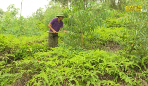Tạp ch&iacute; NNNT: Ph&ograve;ng ch&aacute;y rừng m&ugrave;a kh&ocirc; hanh