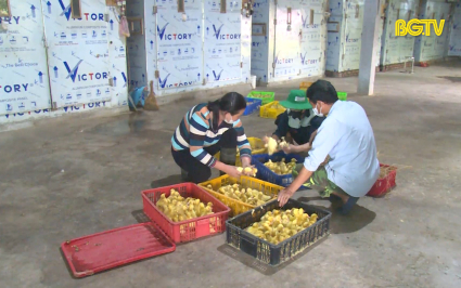 Tạp ch&iacute; NNNT: Phong tr&agrave;o &ldquo;N&ocirc;ng d&acirc;n sản xuất kinh doanh giỏi&rdquo;