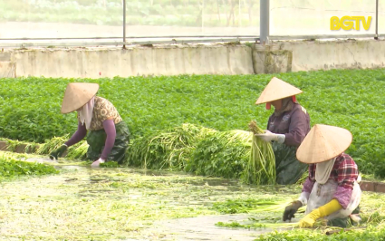 Tạp ch&iacute; NNNT: Sản phẩm n&ocirc;ng nghiệp phục vụ Tết