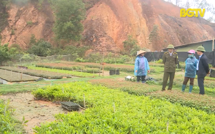 Tạp ch&iacute; NNNT: Tập trung trồng rừng vụ xu&acirc;n