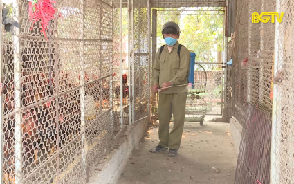Tạp ch&iacute; NNNT: Ti&ecirc;u độc khử tr&ugrave;ng bảo vệ đ&agrave;n vật nu&ocirc;i