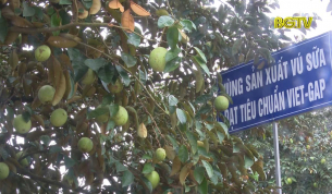 Tạp ch&iacute; NNNT: X&acirc;y dựng thương hiệu c&acirc;y V&uacute; Sữa