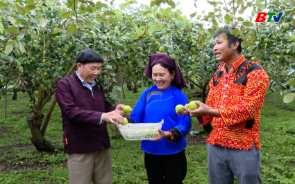 Tạp ch&iacute; N&ocirc;ng nghiệp v&agrave; M&ocirc;i trường: Niềm vui người trồng hoa