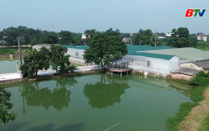 Tạp ch&iacute; N&ocirc;ng nghiệp v&agrave; M&ocirc;i trường: Quyết liệt ph&ograve;ng chống dịch tả lợn Ch&acirc;u phi