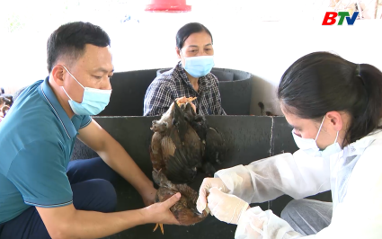 Tạp ch&iacute; N&ocirc;ng nghiệp v&agrave; M&ocirc;i trường: Quyết t&acirc;m giữ vững v&ugrave;ng an to&agrave;n dịch bệnh