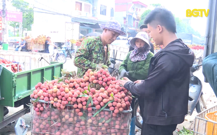 X&uacute;c tiến C&ocirc;ng thương: Đẩy mạnh ti&ecirc;u thụ vải thiều