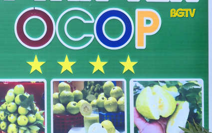 X&uacute;c tiến C&ocirc;ng thương: Đưa h&agrave;ng h&oacute;a l&ecirc;n s&agrave;n thương mại điện tử