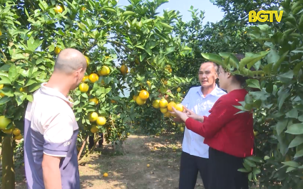 X&uacute;c tiến C&ocirc;ng thương: Giữ vững thương hiệu của nh&atilde;n hiệu tập thể