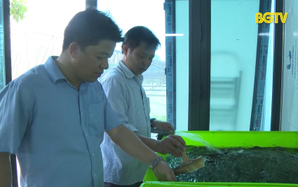 Tất bật m&ugrave;a c&aacute; mới
