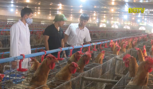 TCNN: Chăn nu&ocirc;i an to&agrave;n vệ sinh thực phẩm