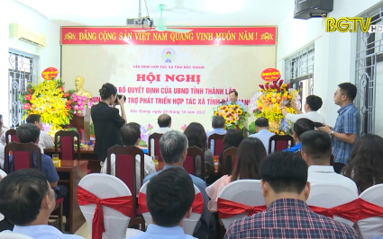 Th&agrave;nh lập Trung t&acirc;m hỗ trợ ph&aacute;t triển Hợp t&aacute;c x&atilde; tỉnh Bắc Giang