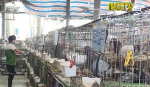 Thanh ni&ecirc;n tự tin lập nghiệp tr&ecirc;n qu&ecirc; hương