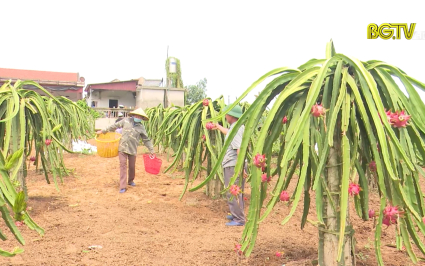 Thay đổi tư duy, kh&ocirc;ng tr&ocirc;ng chờ v&agrave;o sự hỗ trợ của nh&agrave; nước