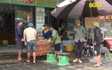 Thị x&atilde; Chũ chủ động kết nối ti&ecirc;u thụ vải thiều