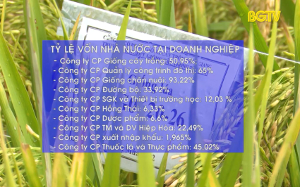 Tho&aacute;i to&agrave;n bộ vốn nh&agrave; nước tại 10 doanh nghiệp 