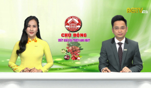 Thời sự THBG tối ng&agrave;y 01 - 04 - 2021