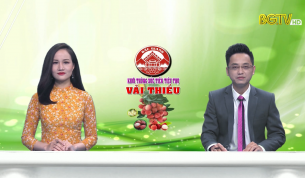 Thời sự THBG tối ng&agrave;y 03 - 06 - 2020
