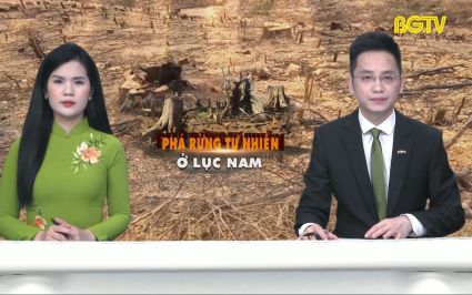 Thời sự THBG tối ng&agrave;y 05-04-2024