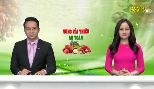 Thời sự THBG tối ng&agrave;y 07 - 06 - 2021