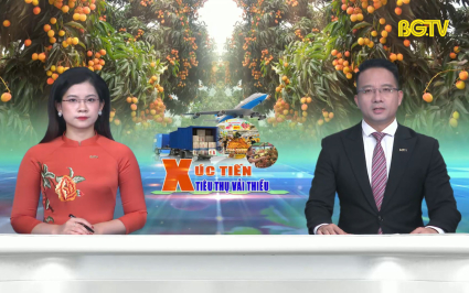 Thời sự THBG tối ng&agrave;y 07-06-2023
