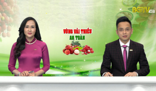 Thời sự THBG tối ng&agrave;y 08 - 06 - 2021