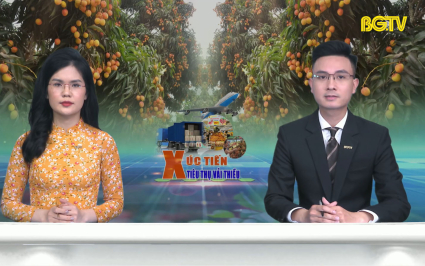 Thời sự THBG tối ng&agrave;y 08-06-2023