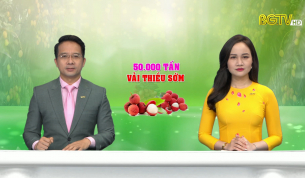 Thời sự THBG tối ng&agrave;y 09 - 06 - 2021