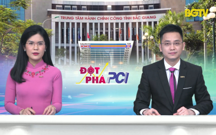 Thời sự THBG tối ng&agrave;y 11-04-2023 