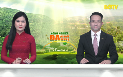 Thời sự THBG tối ng&agrave;y 14-02-2024