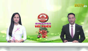 Thời sự THBG tối ng&agrave;y 16 - 06 - 2020