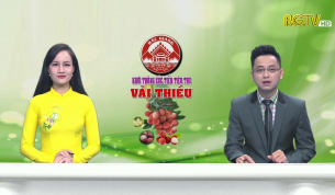 Thời sự THBG tối ng&agrave;y 17 - 06 - 2020