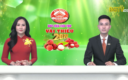 Thời sự THBG tối ng&agrave;y 25-05-2022
